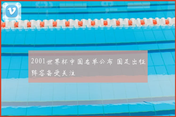 2001世界杯中国名单公布 国足出征阵容备受关注