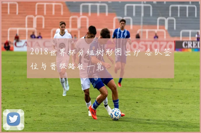 2018世界杯分组树形图出炉 各队签位与晋级路径一览