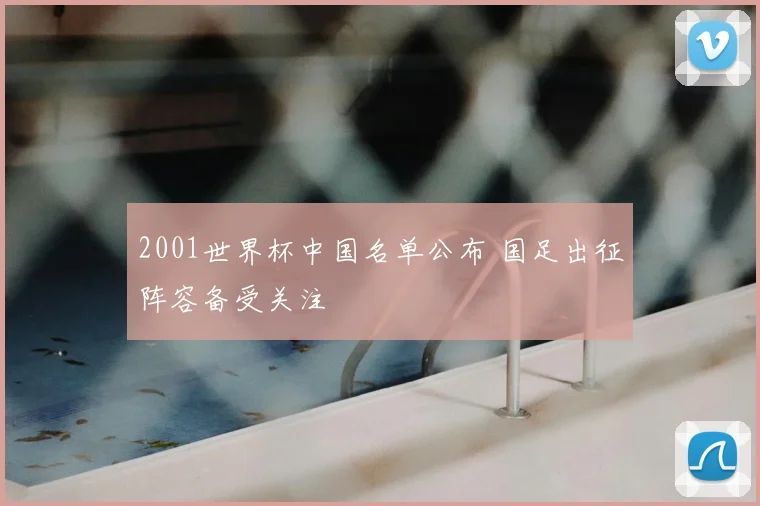 2001世界杯中国名单公布 国足出征阵容备受关注