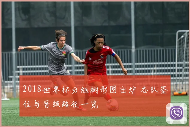 2018世界杯分组树形图出炉 各队签位与晋级路径一览